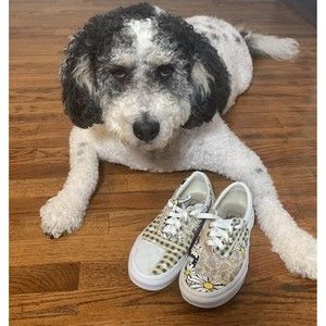 Vans era meadow patchwork Floral Checkerboard Skate Shoe Women’s 6.5